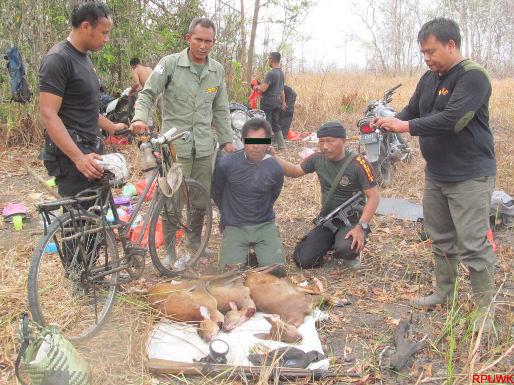 Perburuan-Senpi-dan-Pembakaran-Hutan-10.jpg