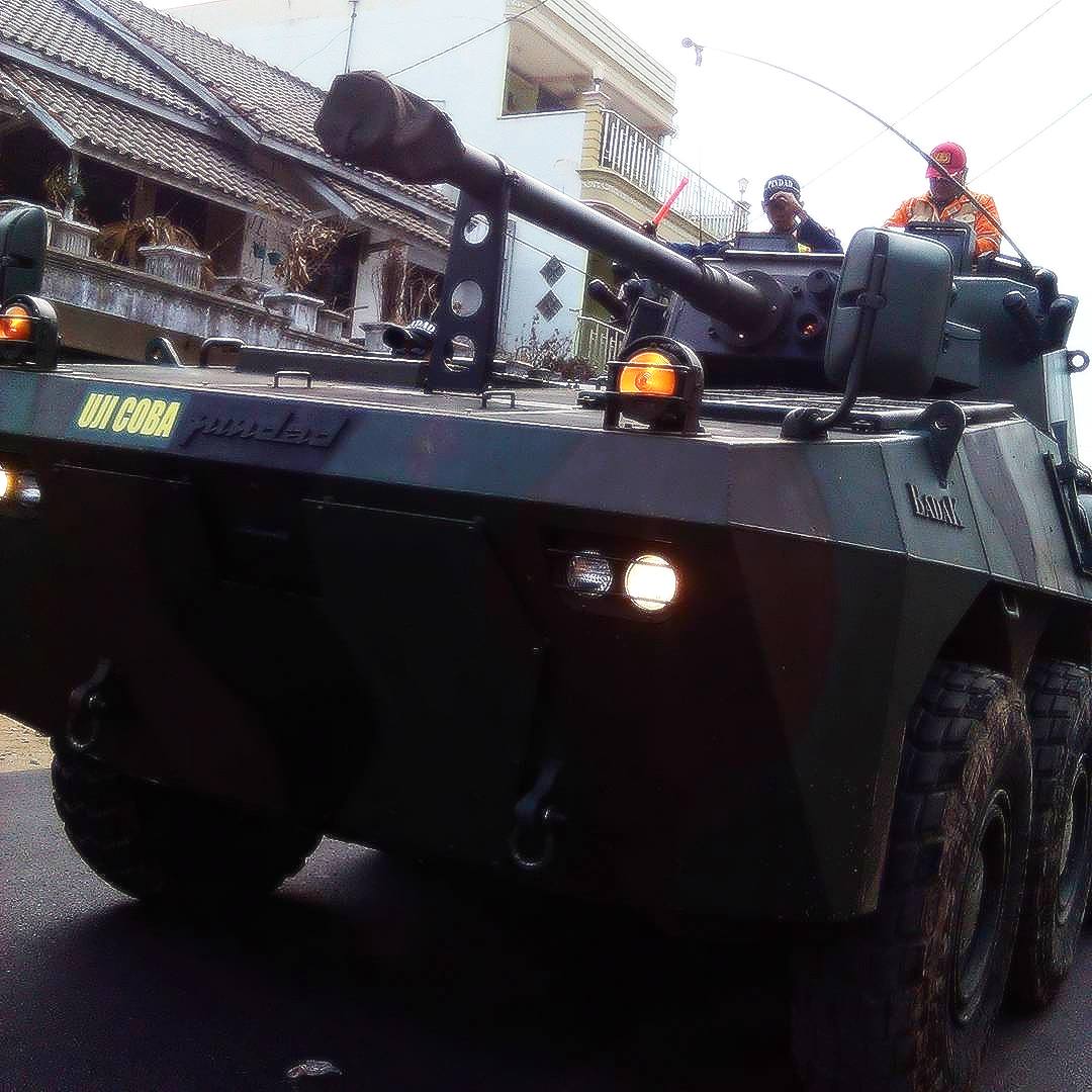 pindad1.jpg