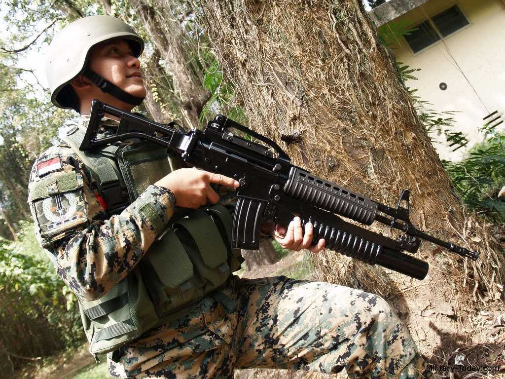 pindad2.jpg