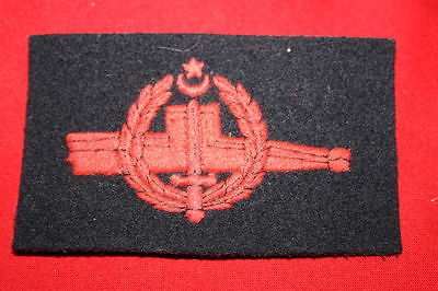 pnbadge5.jpg