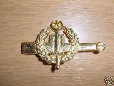 pnbadge7.jpg