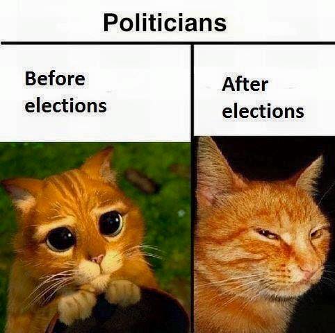 politician.jpg