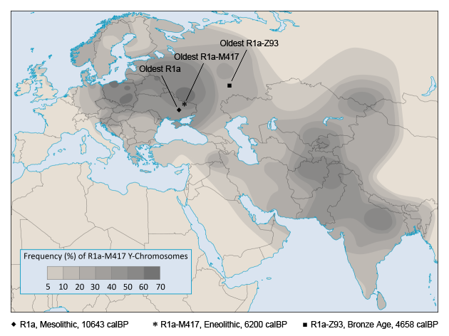 R1a-M417_The_Beast[1].png