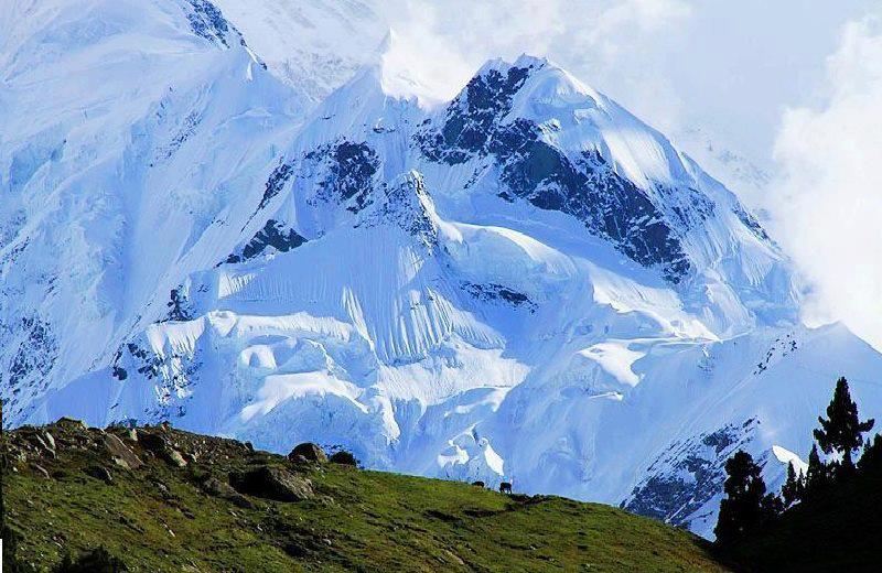 rakaposhi.jpg