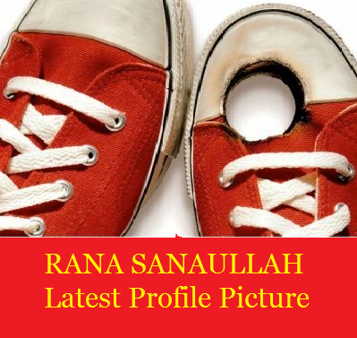 rana sanaullah.png