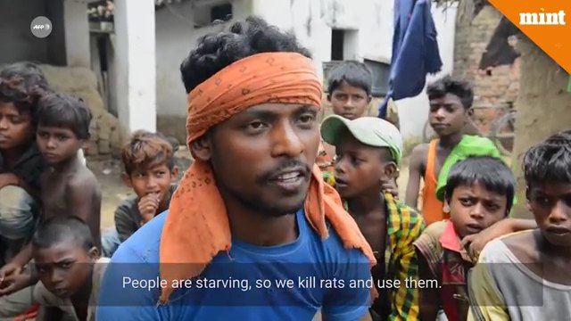 Rat Eaters of Bihar 014831.125.jpg