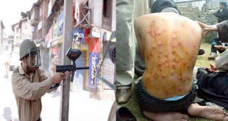 report-calls-on-immediate-ban-on-use-of-pellet-guns-in-iok-1543825632-3566.jpg