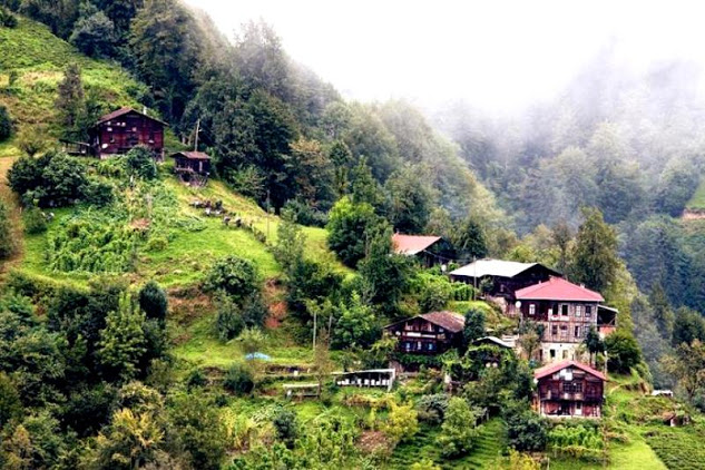 Rize_16824.jpg