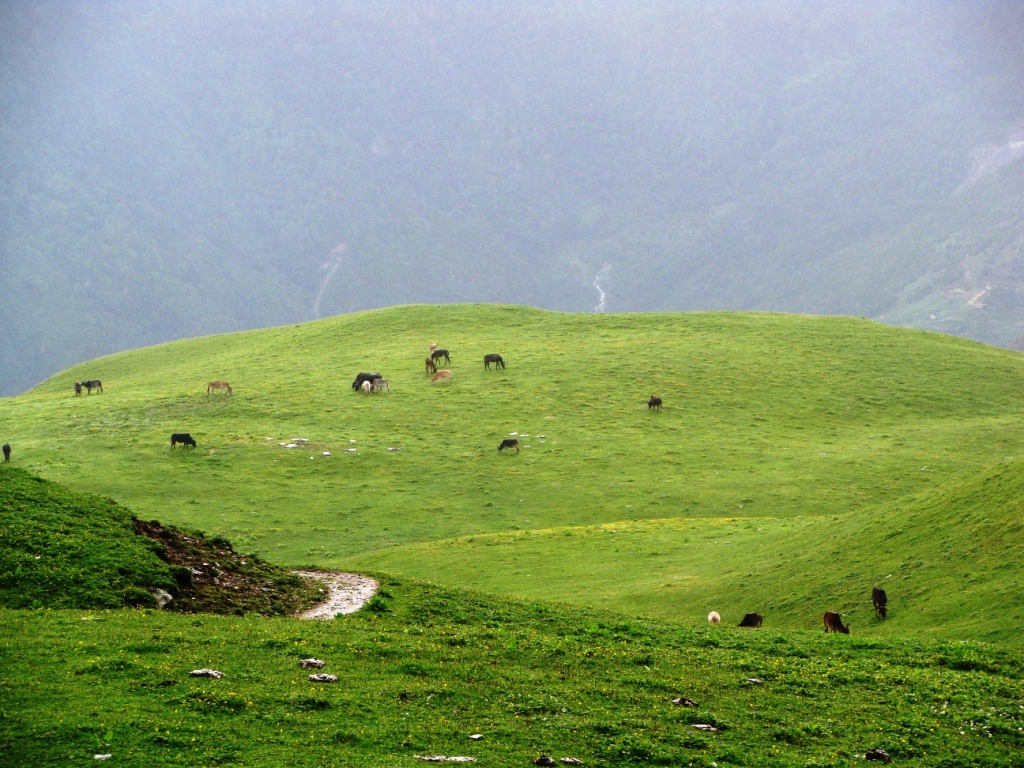 roopkund-trek--bedni-bugyal2.jpg