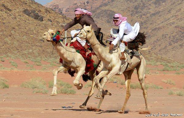 saudcamelracingreturn.jpg