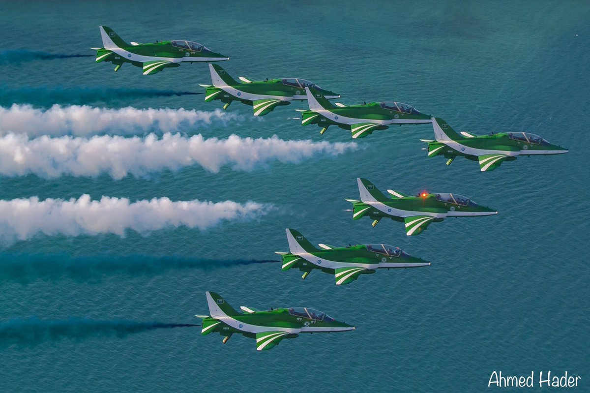 Saudi Arabian hawks over Dumat Al-Jandal Lake in Al Jawf Province.jpg