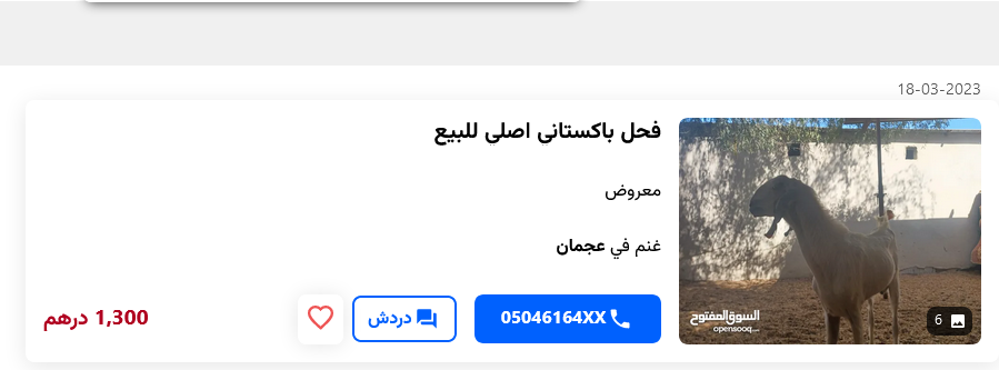 Screenshot 2023-03-24 at 15-03-58 غنم باكستاني للبيع في الامارات على السوق المفتوح.png