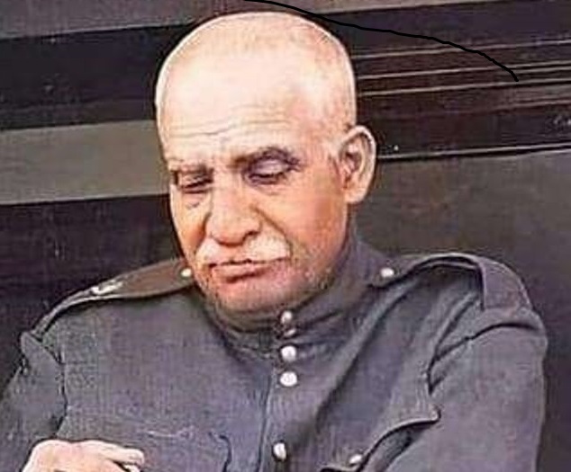 shah_1.jpg