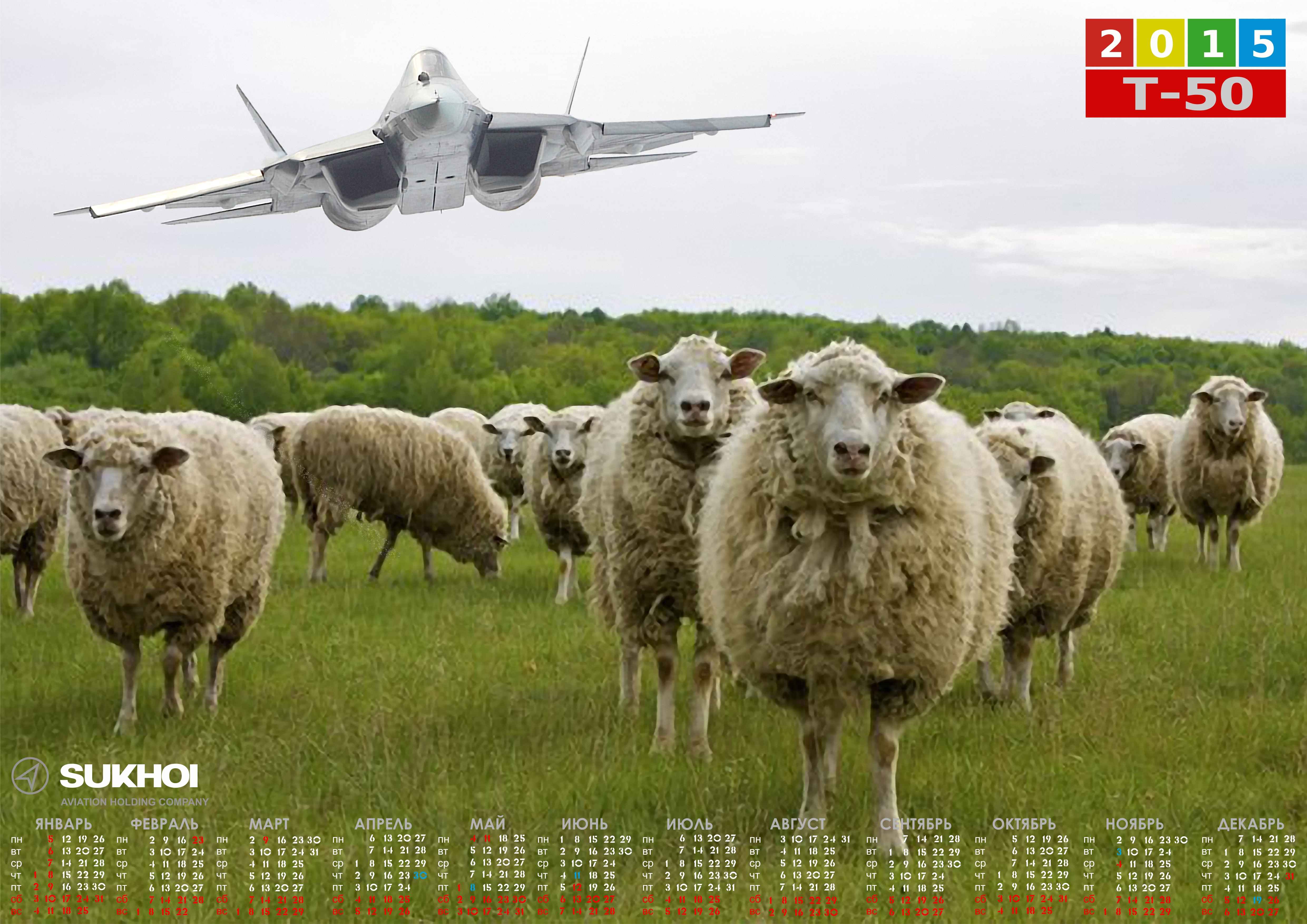 sheep_pak_fa.jpg