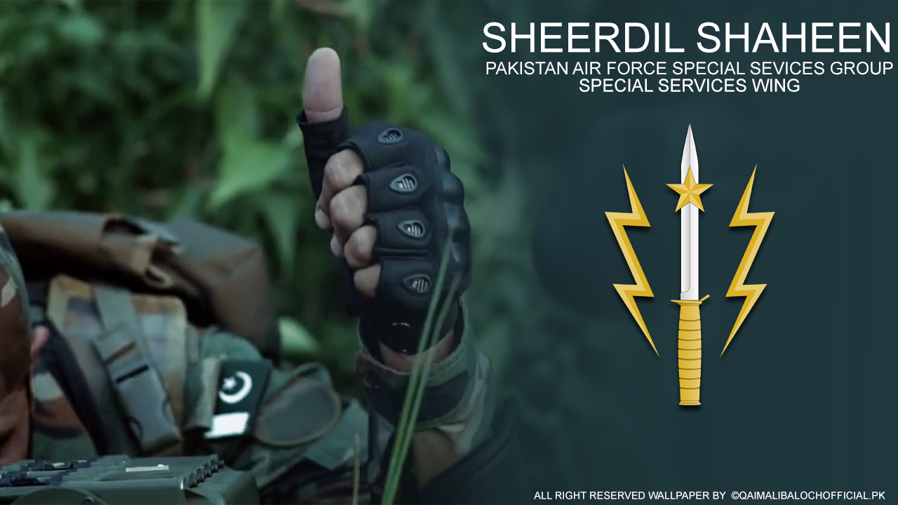 Sherdil Shaheen.jpg