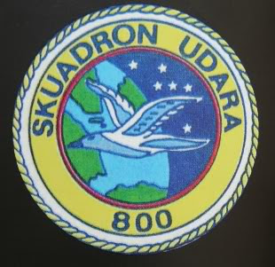 Ska800Logo.jpg