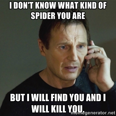 spider-taken-meme.jpg