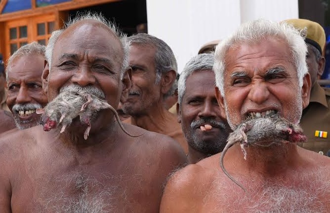 starving-indian-farmers-eat-rats-as-protest-in-delhi.jpg