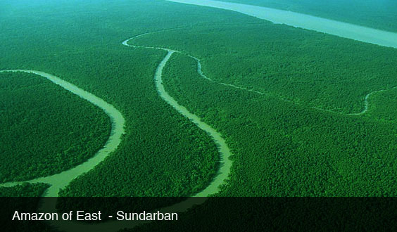 sundarban-19.jpg