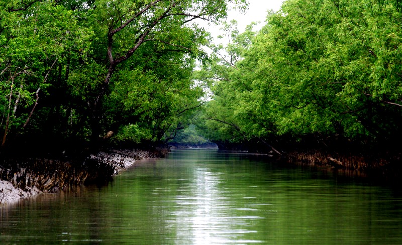 sundarban-khulna50c8165674dac.jpg