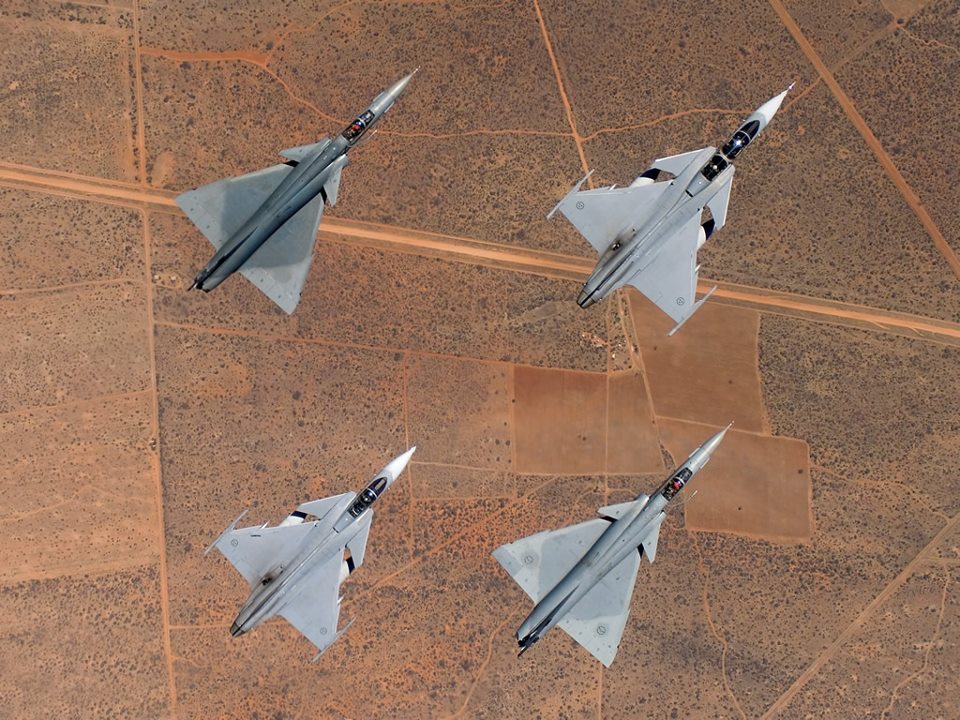 Swedish gripens and South African cheetahs in flight.jpg