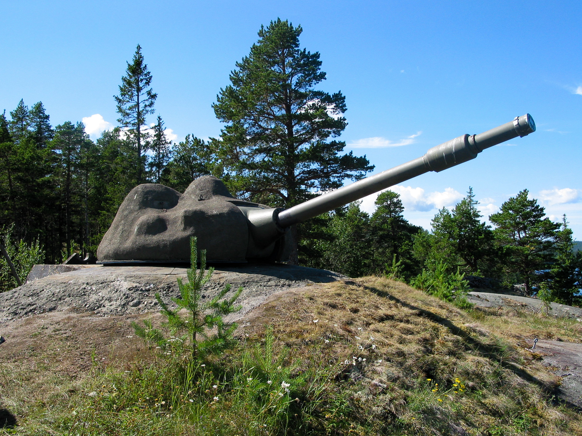 Swedish_KA_7557_1.jpg