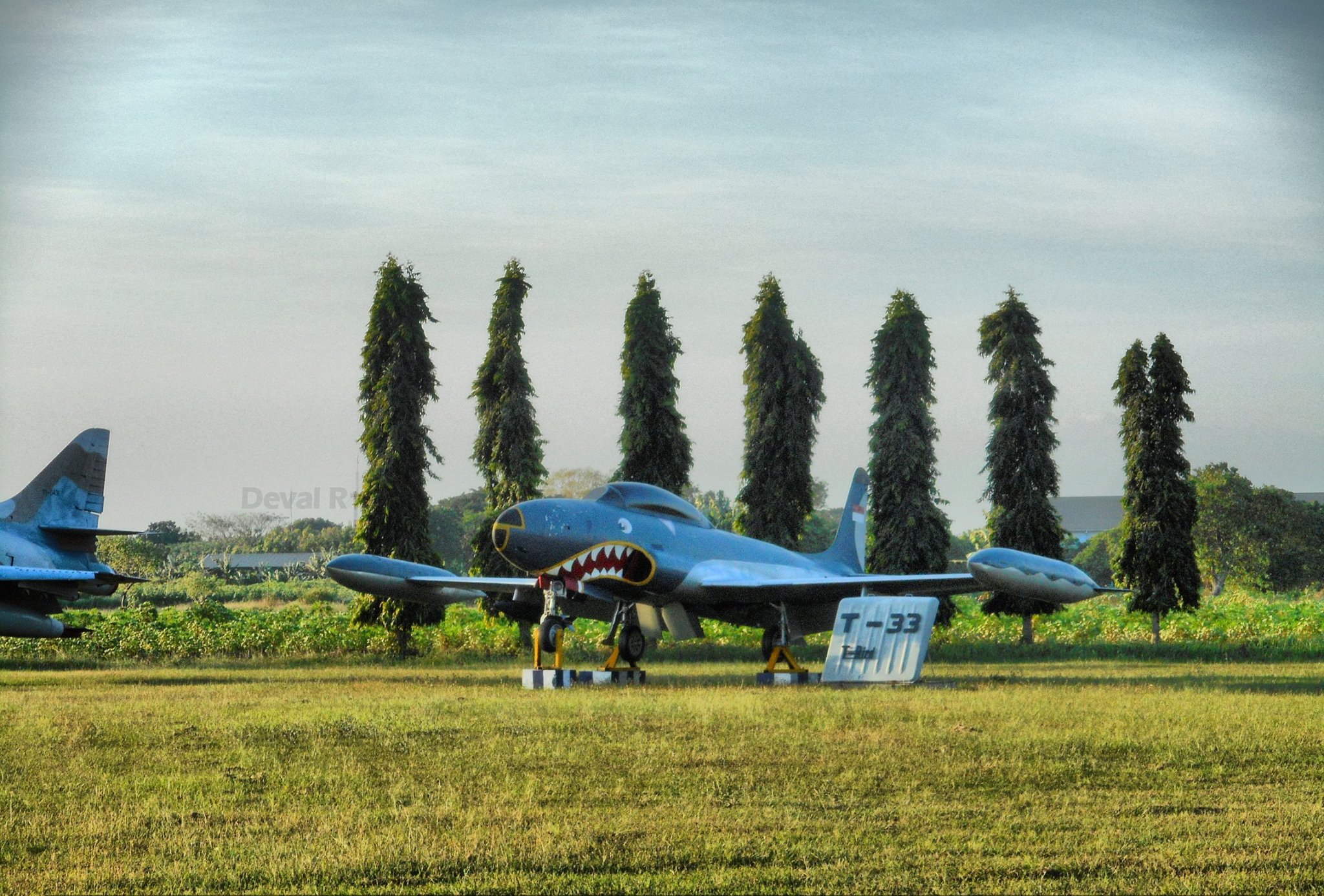 T-33 Bird.jpg