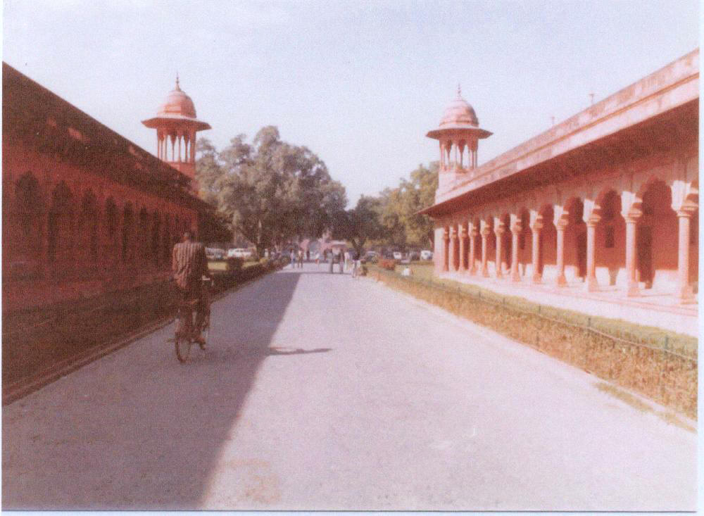 tajphoto005.jpg