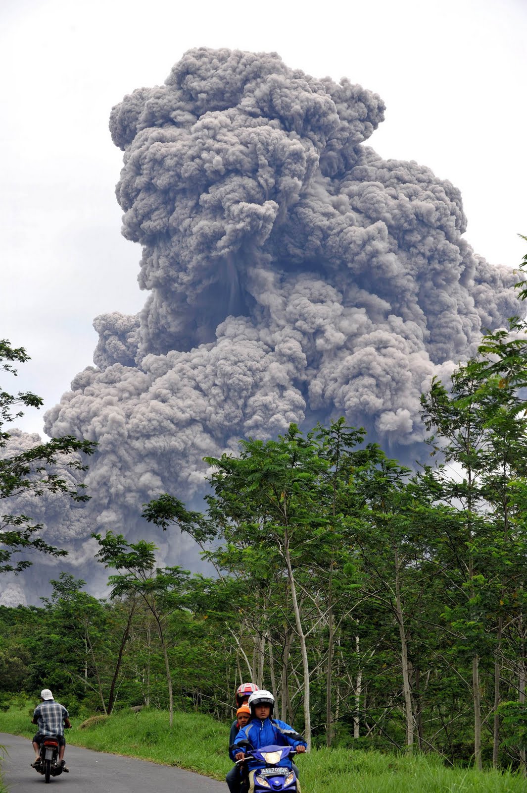 TAKUT WEDHUS GEMBEL.jpg