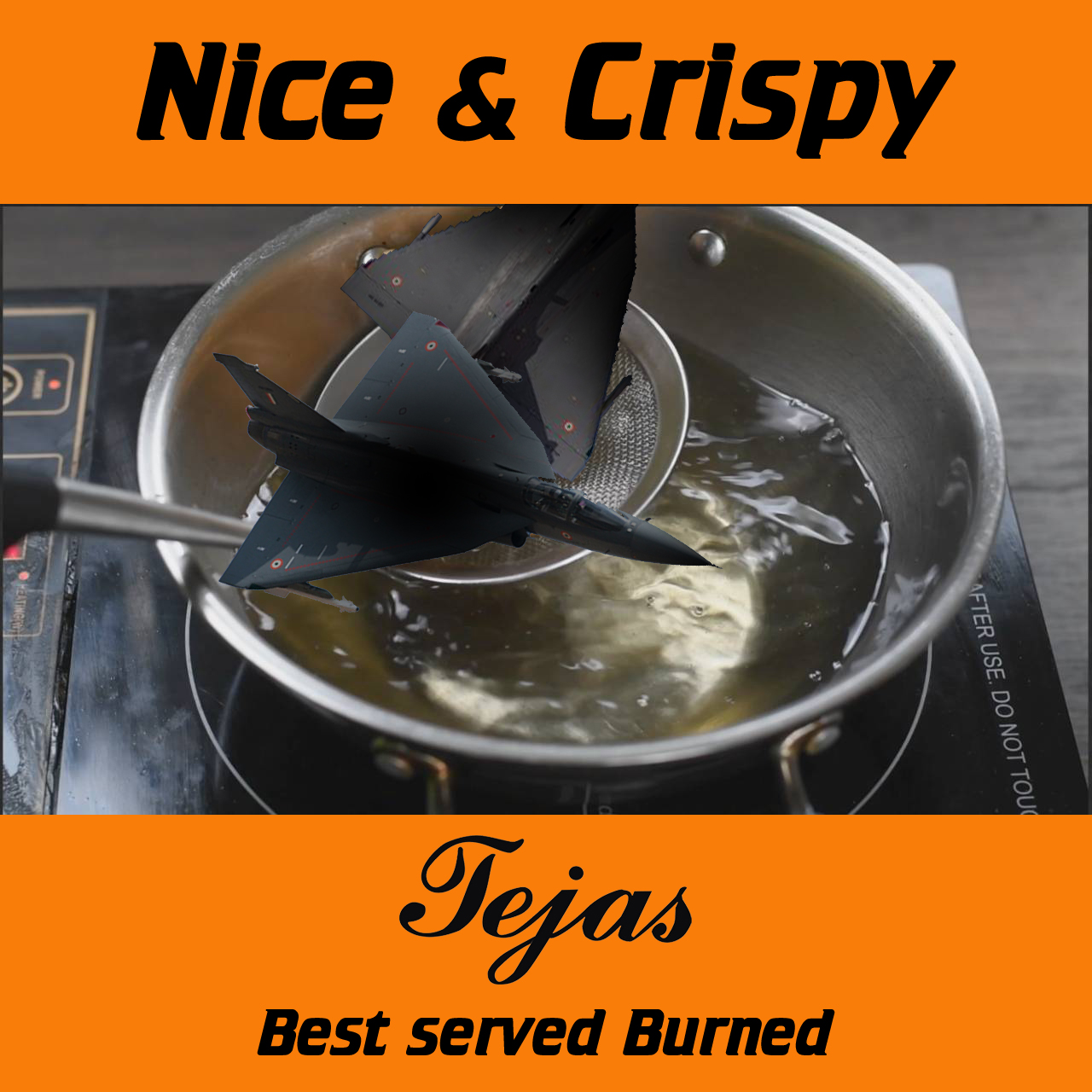 Tejas - Burned.jpg