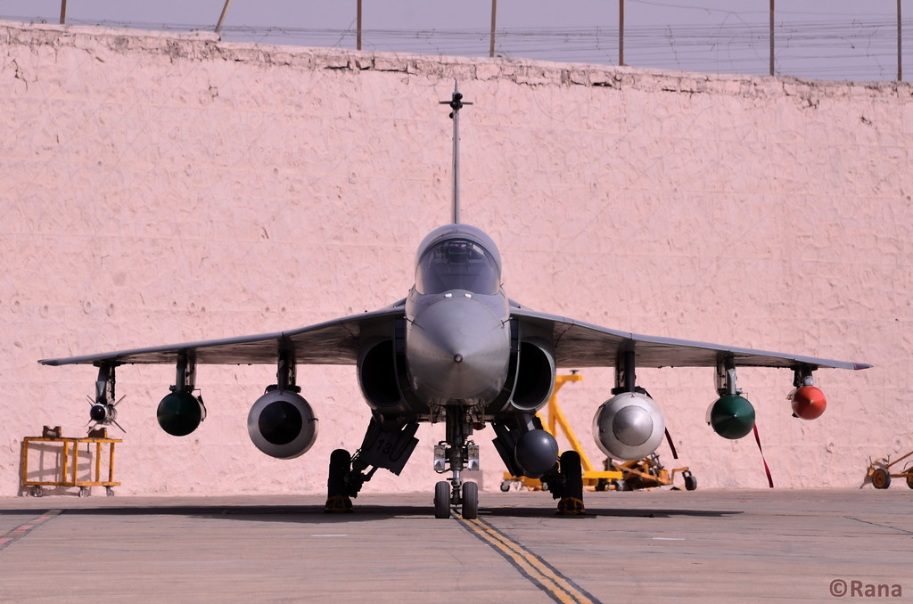 Tejas-det-20123DSC0237-XL.jpg