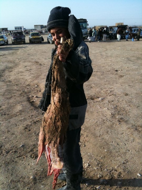 The_carcass_of_a_headless_goat_used_in_Buzkashi..jpg