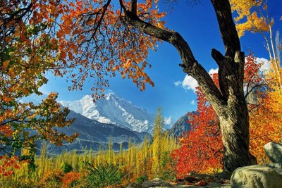 thumb-hunza-autumn-9.jpg