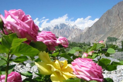 thumb-hunza-flowers-8.jpg