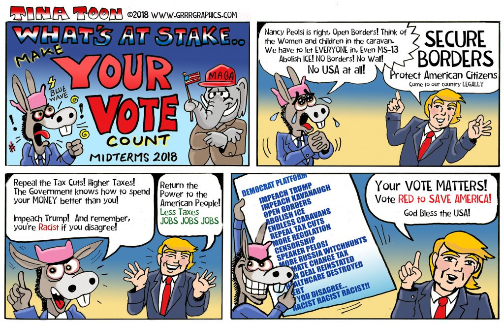 tina_toon-8-midterms-web-1024x656.jpg