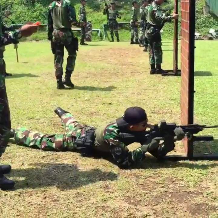 tni.jpg