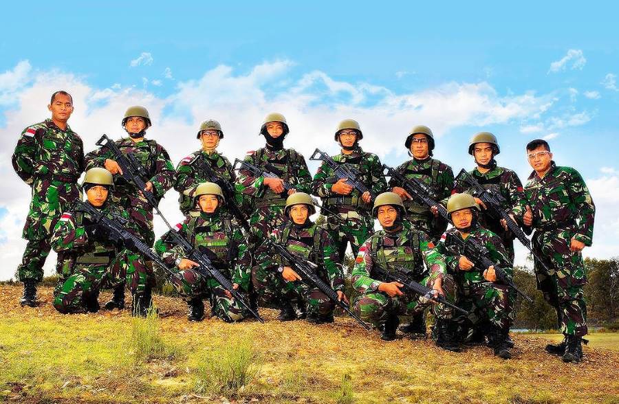 tni1.jpg