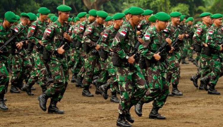 tni13.jpg