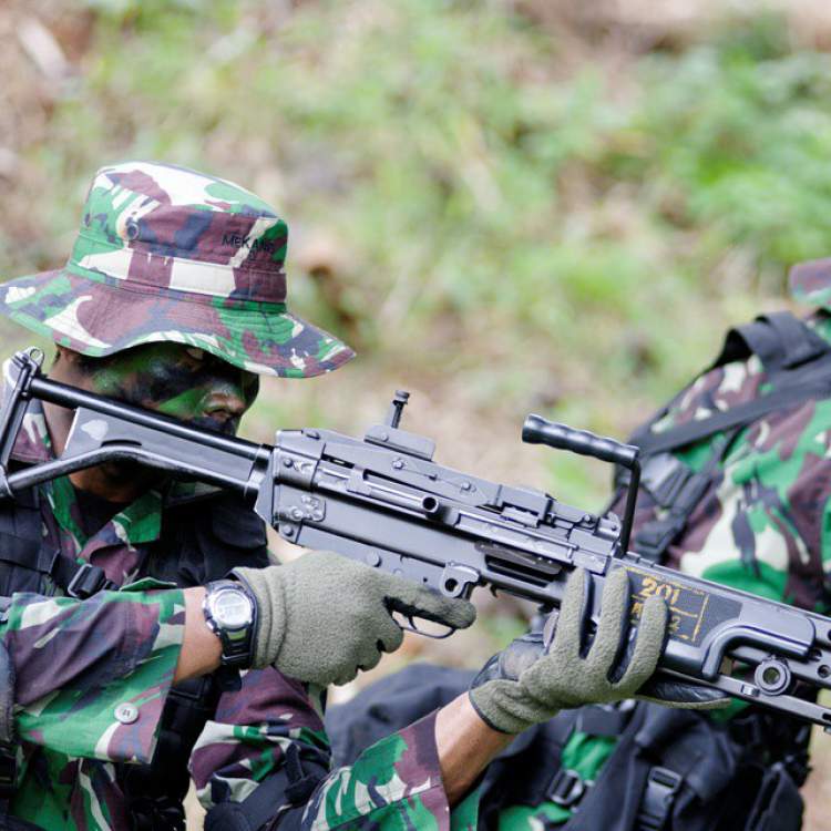 tni15.jpg