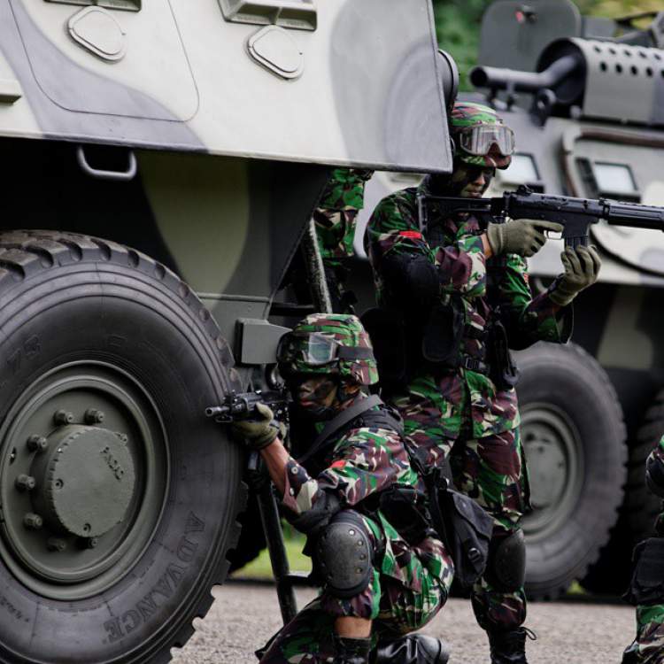 tni19.jpg