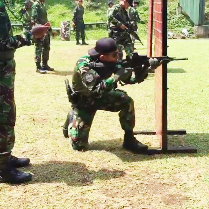 tni2.jpg