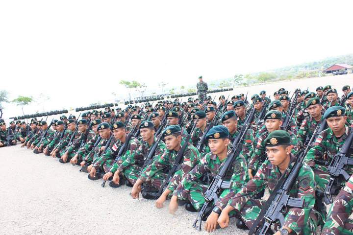 tni2.jpg