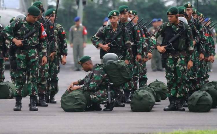 tni2.jpg