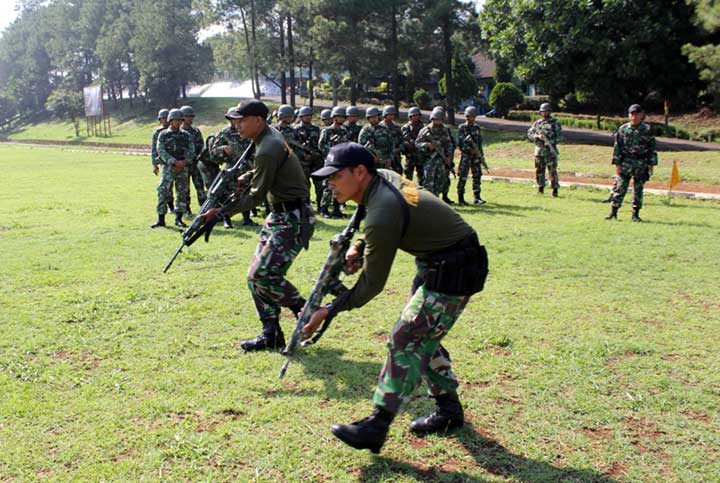 tni3.jpg