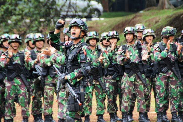 tni3.jpg