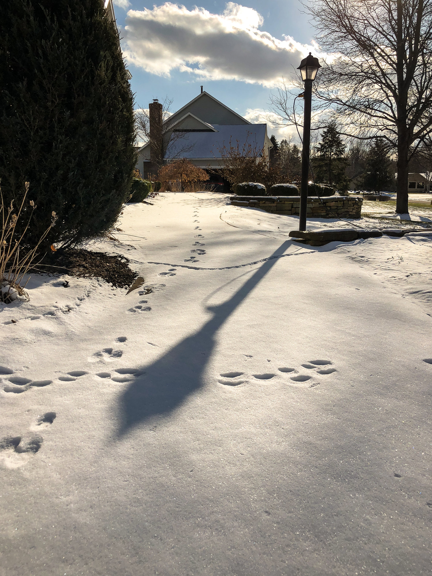 Tracks in the snow-1940.jpg