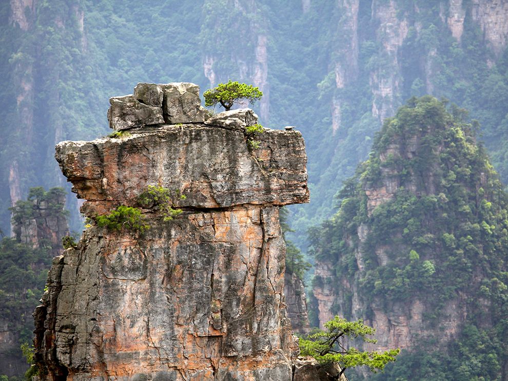 tree-pillar-rock-china_90677_990x742.jpg