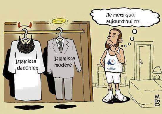 turkey 11 26 15 islamist dilema.jpg