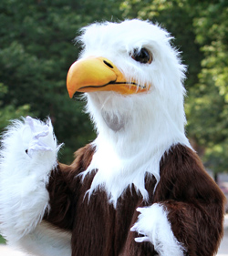 UMW-Eagle-Mascot-21.jpg