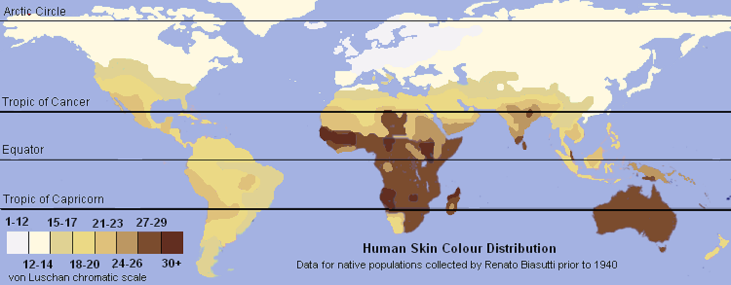 Unlabeled_Renatto_Luschan_Skin_color_map.png